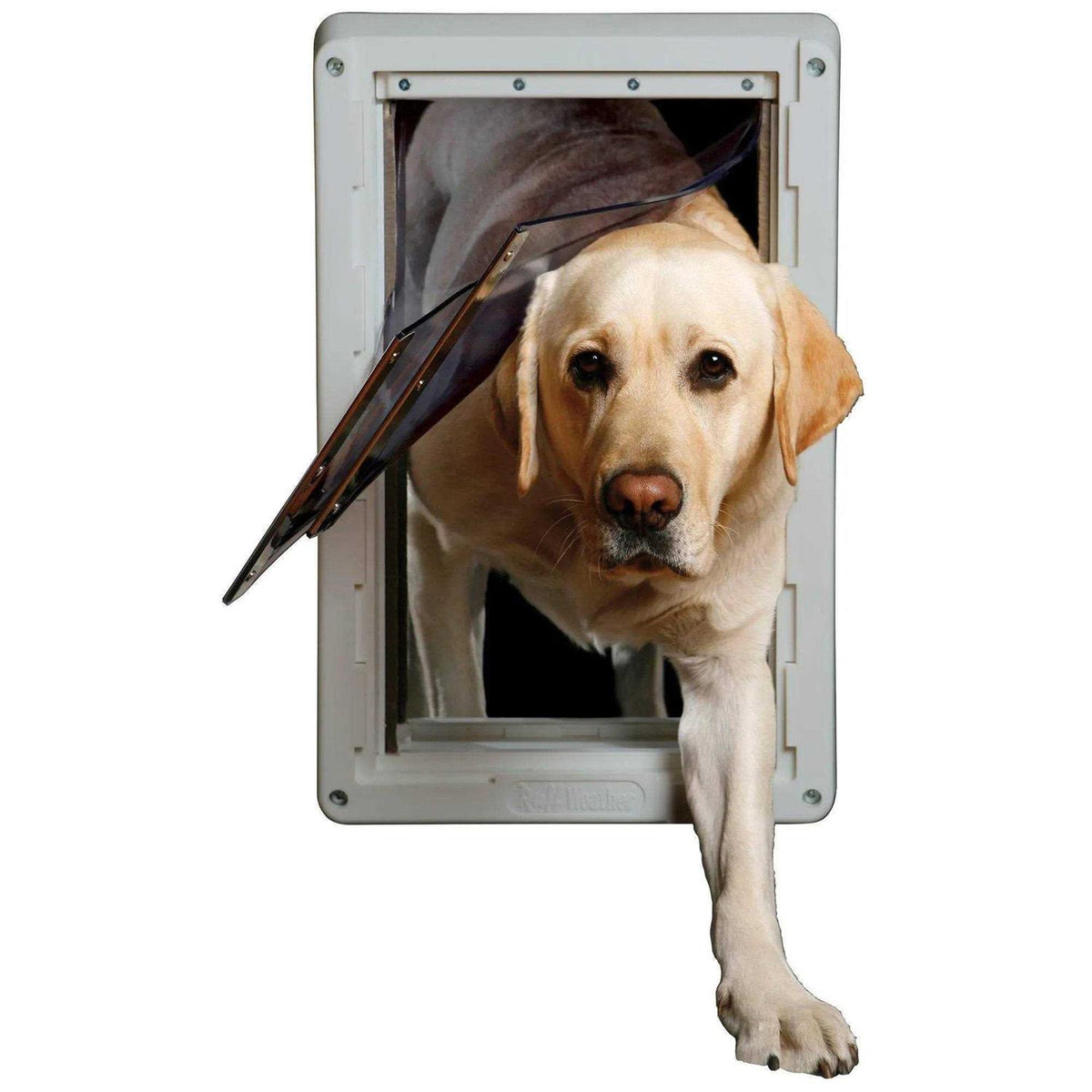 Pet Door S435402