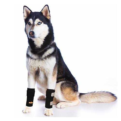 Dog Front Leg Braces and Support X114527