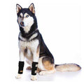 Dog Front Leg Braces and Support X114527