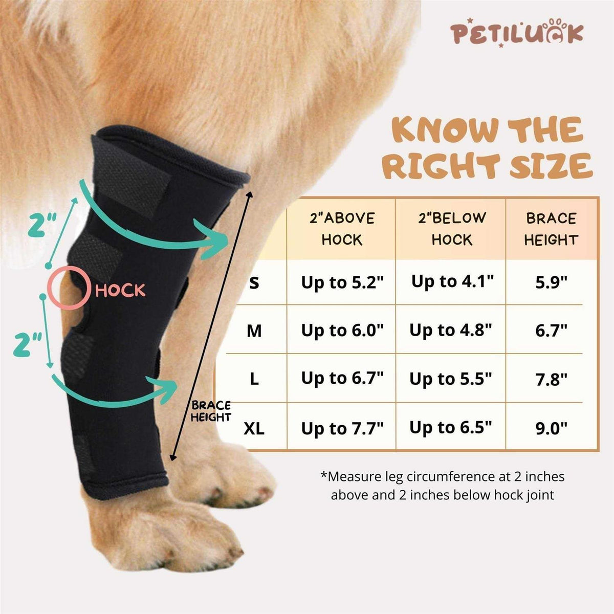Waterproof Dog Rear Leg Hock Joint Wrap T2498