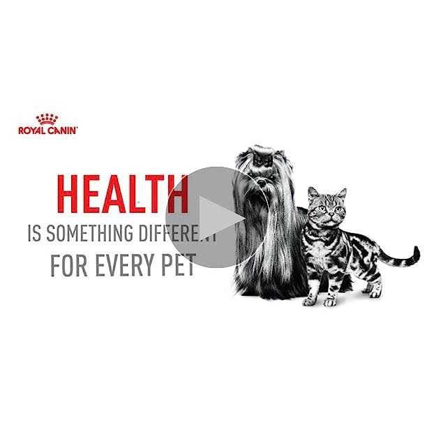 Adult Dry Dog Food F13430