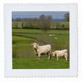 Quilt Square 12 by 12-inch N953