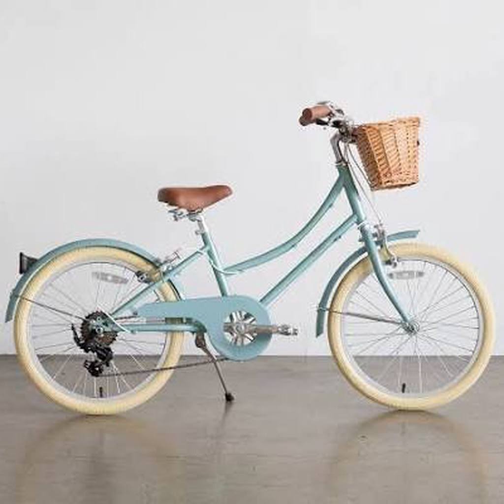 20" Wheel Junior Bikes N13041