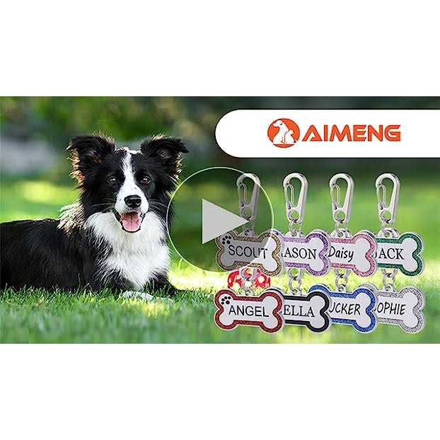 Stainless Steel Pet ID Tags D899