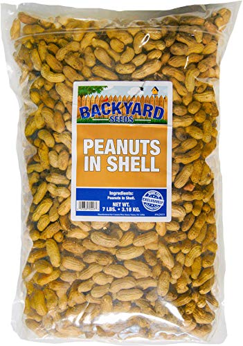 Raw Peanuts in The Shell 7 Pounds V888222