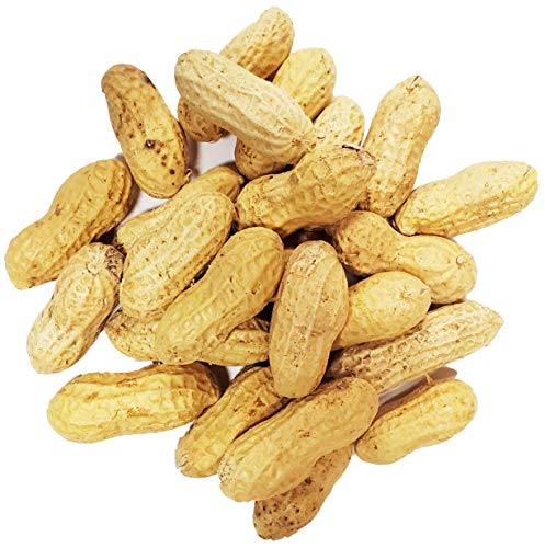 Raw Peanuts in The Shell 7 Pounds V888222