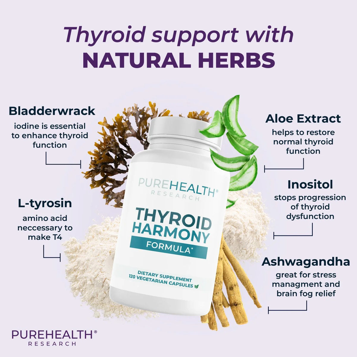 Lymph System Support Supplement B26345