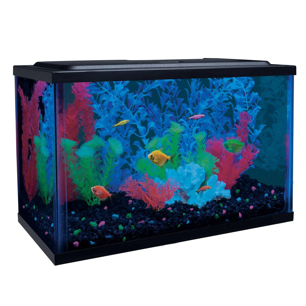 5-Gallon Aquarium Kit with LED Filter S890