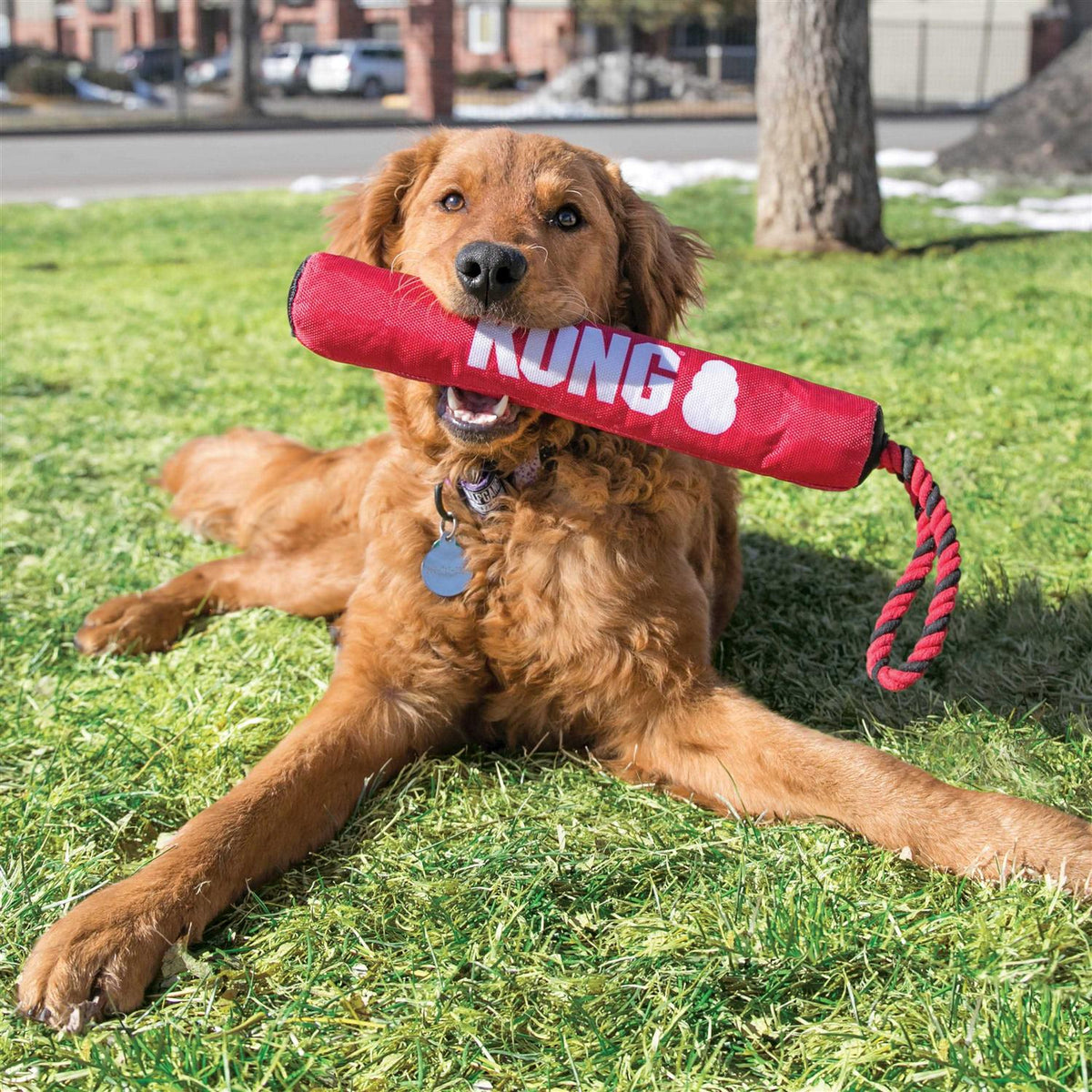 Dog Toy I14077