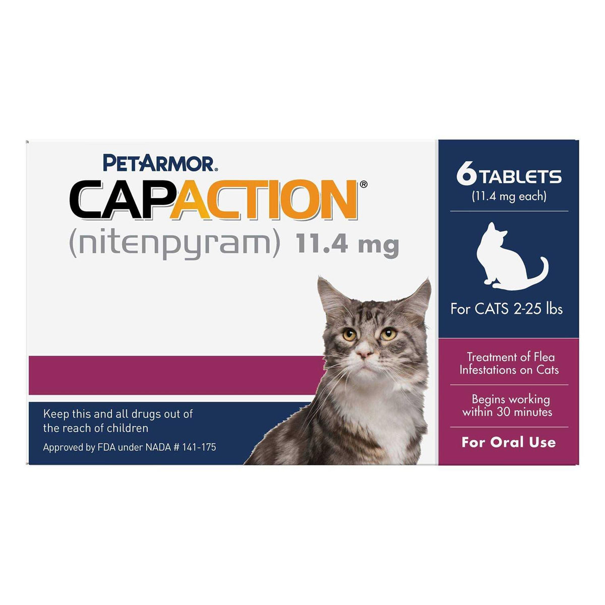 Flea Treatment for Cats C91122