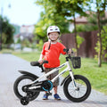 16 inch Kids Bike with Training Wheels W22510
