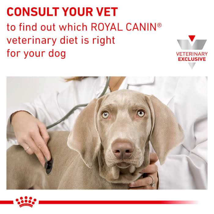 Aging 7+ Dry Dog Food Z2301