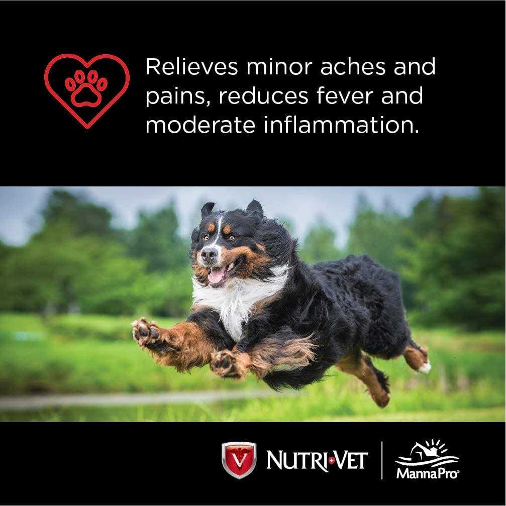 Aspirin for Large Dogs T640